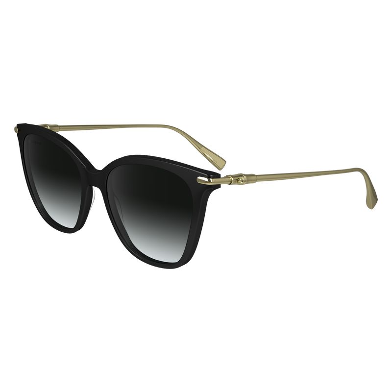 Longchamp Acetate / Metal Sonnenbrille Damen Schwarz | Deutschland-752WZSQFY