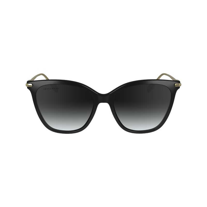 Longchamp Acetate / Metal Sonnenbrille Damen Schwarz | Deutschland-752WZSQFY
