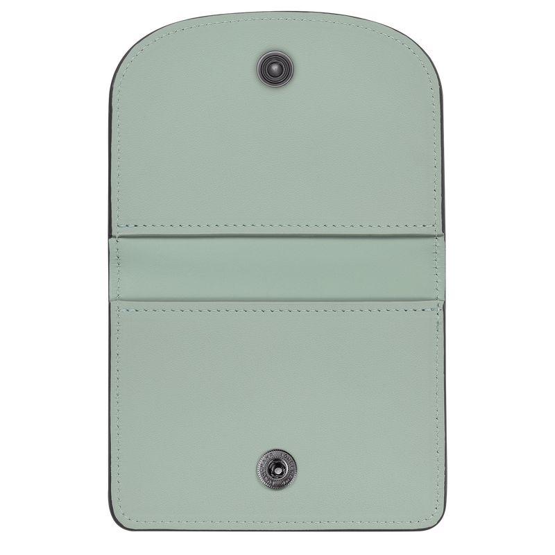 Longchamp Le Pliage Xtra Kartenhülle Herren Blau Grün | Deutschland-587XMVQFA