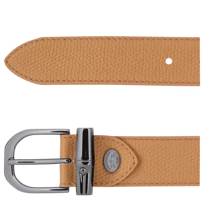 Longchamp Le Roseau Gürtel Damen Braun | Deutschland-450TERAXN
