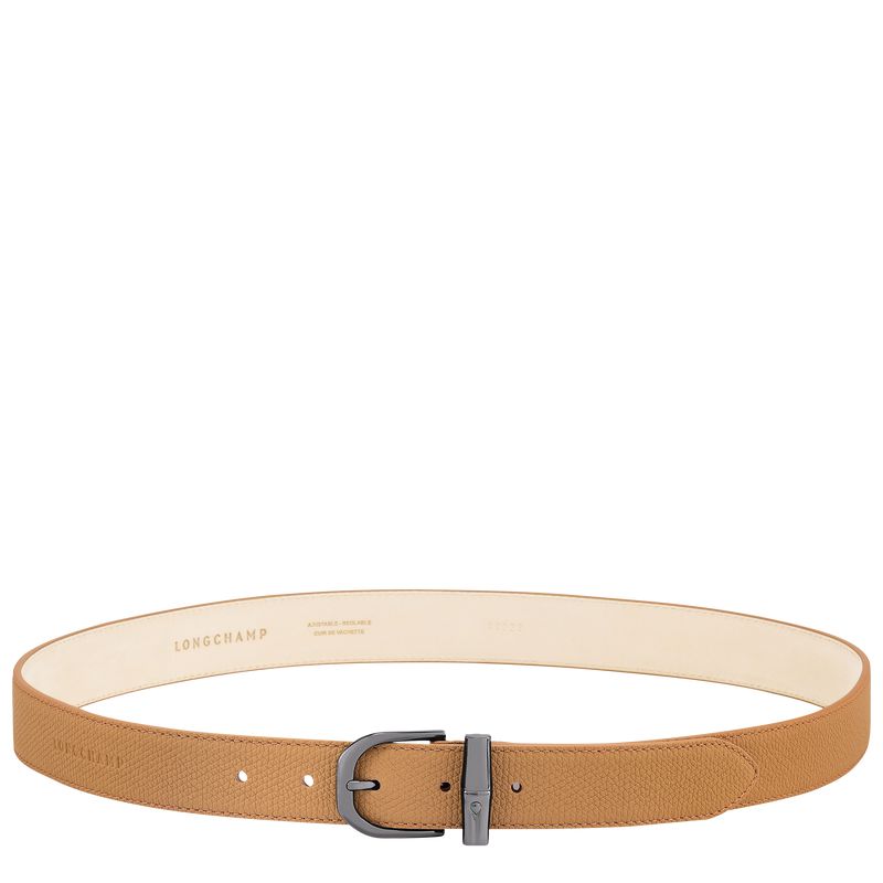 Longchamp Le Roseau Gürtel Damen Braun | Deutschland-450TERAXN